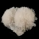 Scolecite Huge Spray with Green Apophyllite Cube Natural Mineral Specimen - image 2