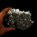 Scolecite Huge Spray with Green Apophyllite Cube Natural Mineral Specimen - image 5
