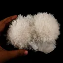 Scolecite Huge Spray with Green Apophyllite Cube Natural Mineral Specimen - image 4