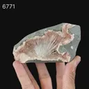 Scolecite in Heulandite Geode Natural Mineral Specimen - image 6