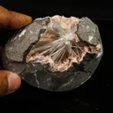 Scolecite in Heulandite Geode Natural Mineral Specimen - image 3
