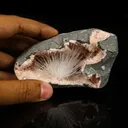Scolecite in Heulandite Geode Natural Mineral Specimen - image 4