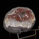 Scolecite in Heulandite Geode Natural Mineral Specimen - image 3