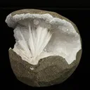 Scolecite in MM Quartz Geode Natural Mineral Specimen - image 2