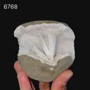 Scolecite in MM Quartz Geode Natural Mineral Specimen - image 6