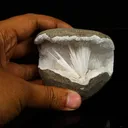 Scolecite in MM Quartz Geode Natural Mineral Specimen - image 4