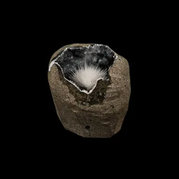 Scolecite Inside MM Quartz Geode Natural Mineral Specimen
