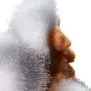 Scolecite on Stilbite - image 3