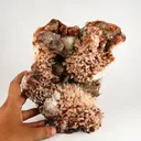 Scolecite Spray Brown color with Apophyllite cubes Natural Mineral Specimen - image 4