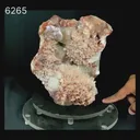 Scolecite Spray Brown color with Apophyllite cubes Natural Mineral Specimen - image 6