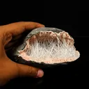 Scolecite Spray in Heulandite Geode Natural Mineral Specimen - image 1