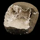 Scolecite Spray Inside Chalcedony Geode Natural Mineral Specimen - image 3