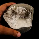 Scolecite Spray Inside Chalcedony Geode Natural Mineral Specimen - image 4