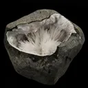 Scolecite Spray Inside Chalcedony Geode Natural Mineral Specimen - image 1