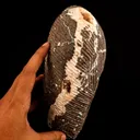 Scolecite Spray Inside Heulandite Geode Free Standing Natural Mineral Specimen - image 5