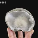 Scolecite Spray Inside MM Quartz Geode Natural Mineral Specimen - image 6
