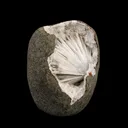 Scolecite Spray Inside MM Quartz Geode Natural Mineral Specimen - image 3