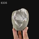 Scolecite Spray Inside MM Quartz Geode Natural Mineral Specimen - image 6