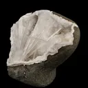 Scolecite Spray Inside MM Quartz Geode Natural Mineral Specimen - image 2