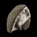 Scolecite Spray Inside MM Quartz Geode Natural Mineral Specimen - image 2