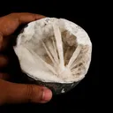 Scolecite Spray Inside MM Quartz Geode Natural Mineral Specimen - image 4