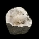 Scolecite Spray Inside MM Quartz Geode Natural Mineral Specimen - image 1