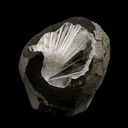 Scolecite Spray Inside MM Quartz Geode Natural Mineral Specimen - image 1