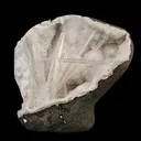 Scolecite Spray Inside MM Quartz Geode Natural Mineral Specimen - image 1