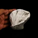 Scolecite Spray Inside MM Quartz Geode Natural Mineral Specimen - image 4