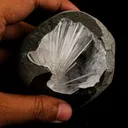 Scolecite Spray Inside MM Quartz Geode Natural Mineral Specimen - image 4