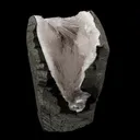 Scolecite Spray Inside MM Quartz Geode Natural Mineral Specimen - image 1