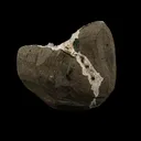 Scolecite Spray Inside MM Quartz Geode Natural Mineral Specimen - image 5