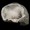 Scolecite Spray Inside MM Quartz Geode Natural Mineral Specimen - image 2