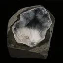 Scolecite Spray Inside MM Quartz Geode Natural Mineral Specimen - image 1