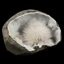 Scolecite Spray Inside MM Quartz Geode Natural Mineral Specimen - image 3