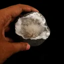 Scolecite Spray Inside MM Quartz Geode Natural Mineral Specimen - image 4