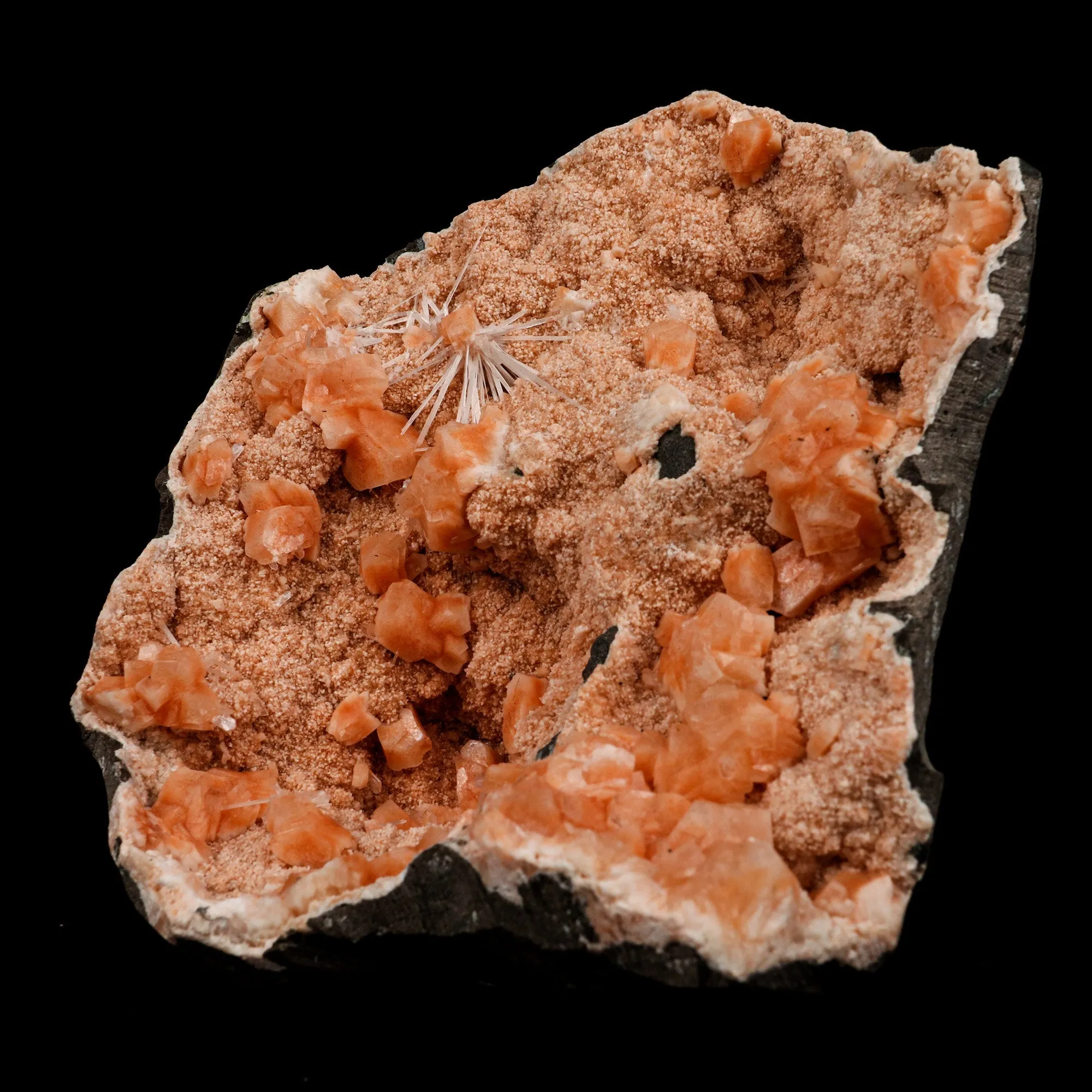Scolecite Spray on Heulandite Natural Mineral Specimen - image 3