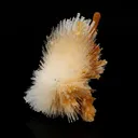 Scolecite Spray With Calcite Stalactites Natural Mineral Specimen - image 2