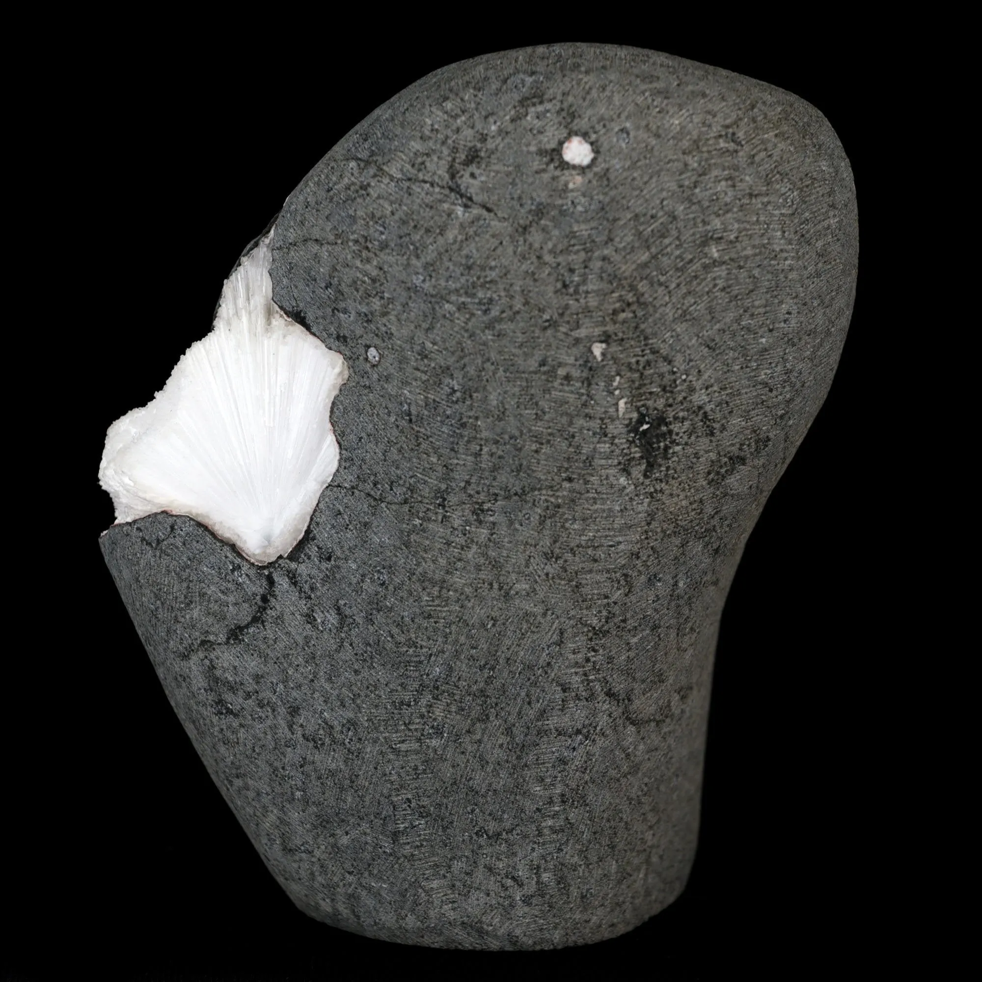 Scolecite Spray with Goosecreekite Inside Chalcedony Geode - image 6