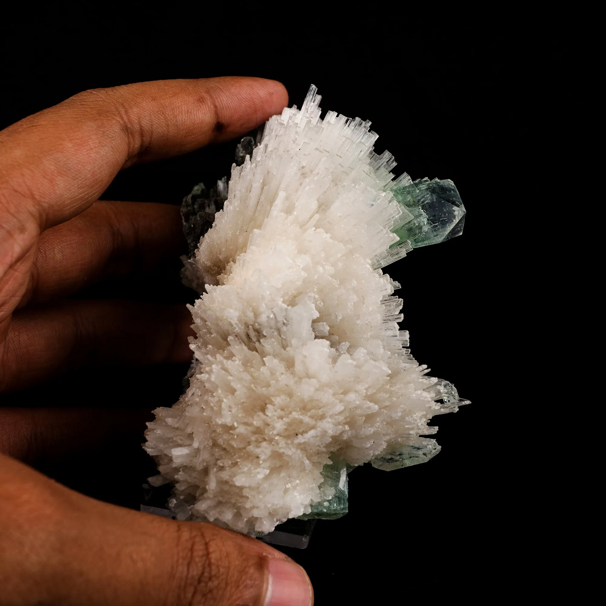 Scolecite Spray with Green Apophyllite Natural Mineral Specimen - image 4