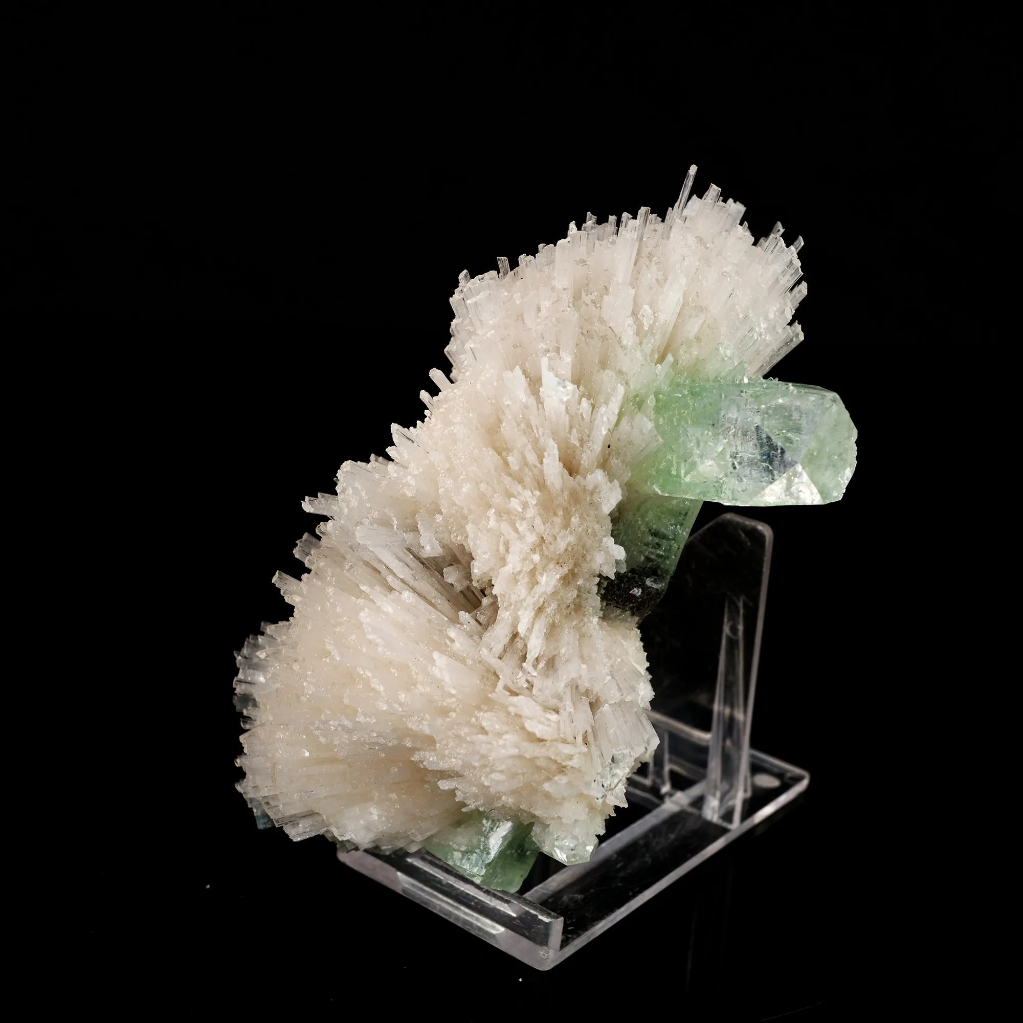 Scolecite Spray with Green Apophyllite Natural Mineral Specimen - image 2