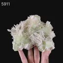 Scolecite Spray With Green Apophyllite Natural Mineral Specimen - image 5