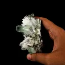 Scolecite Spray with Green Apophyllite Natural Mineral Specimen - image 5