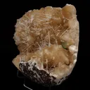 Scolecite Spray with Stilbite Natural Mineral Specimen - image 3