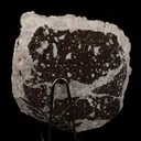 Scolecite Spray with Stilbite Natural Mineral Specimen - image 4