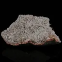 Scolecite Spray with Stilbite Natural Mineral Specimen - image 1