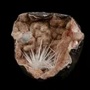 Scolecite Sprays Fan Inside Heulandite Geode Natural Mineral Specimen - image 3