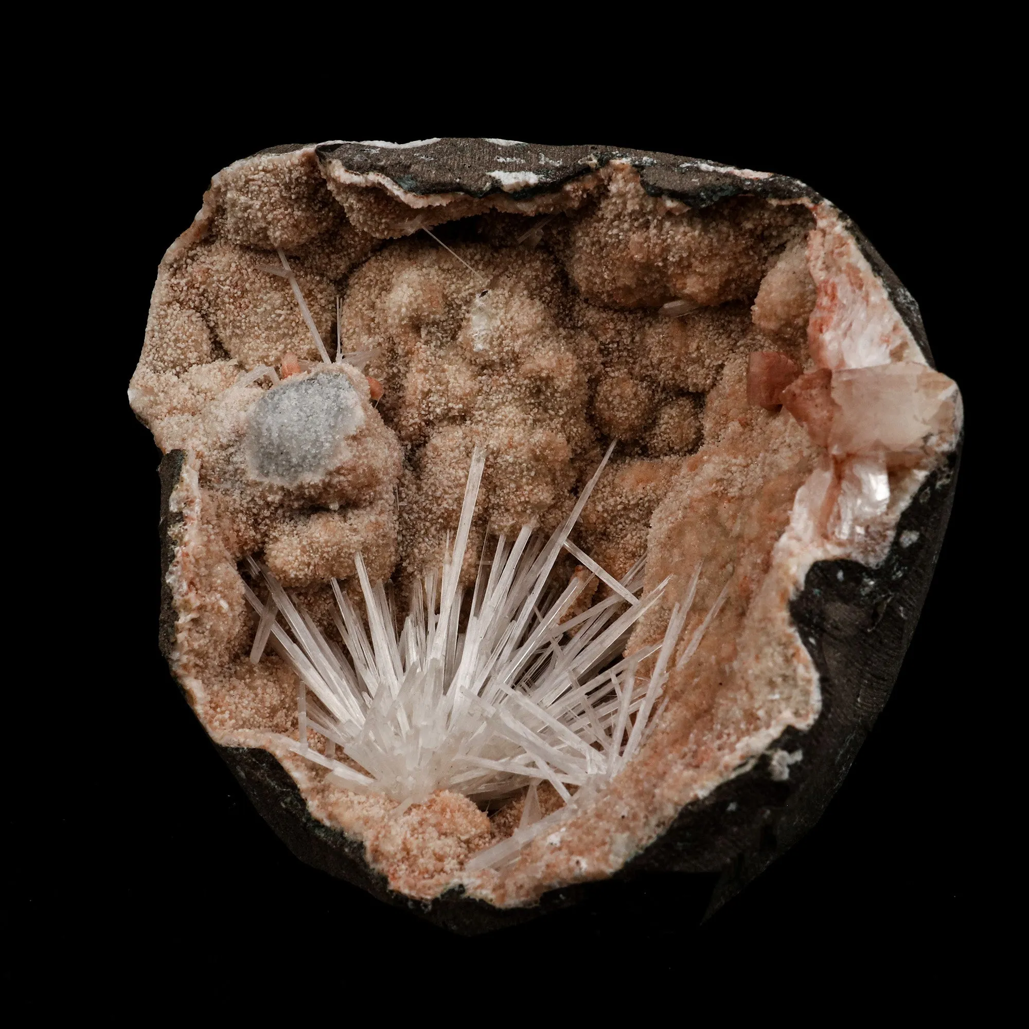 Scolecite Sprays Fan Inside Heulandite Geode Natural Mineral Specimen - image 3