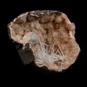 Scolecite Sprays Fan Inside Heulandite Geode Natural Mineral Specimen - image 2