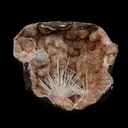 Scolecite Sprays Fan Inside Heulandite Geode Natural Mineral Specimen - image 1